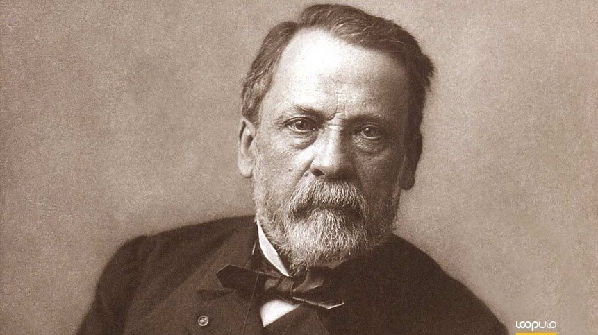 La levadura y el gran hallazgo de Louis Pasteur – Loopulo