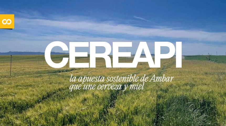 CEREAPI: la apuesta sostenible de Ambar que une cerveza y miel – Loopulo